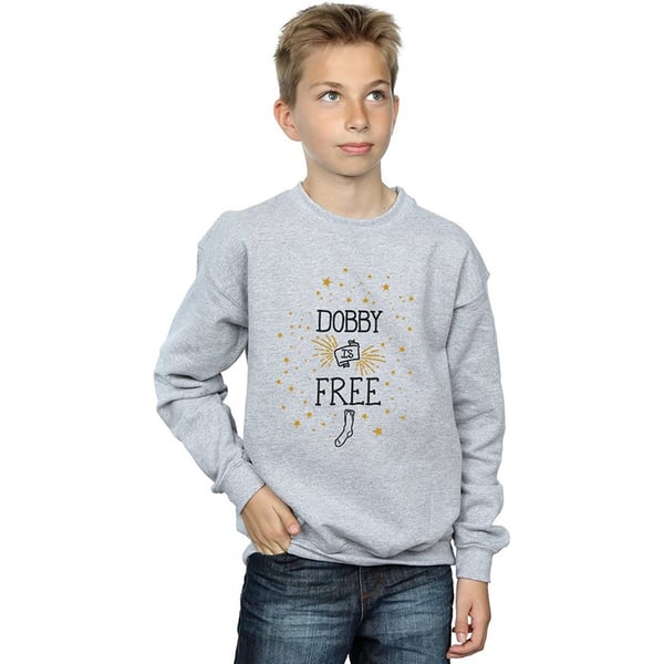 Harry Potter Boys Dobby Is Free Sweatshirt