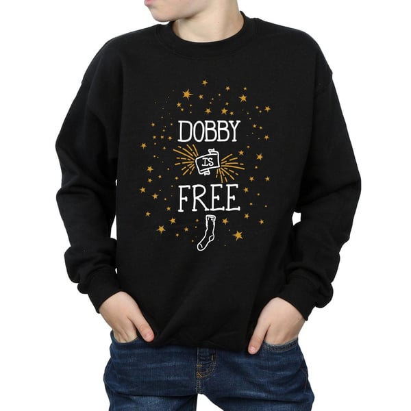 Harry Potter Boys Dobby Is Free Sweatshirt