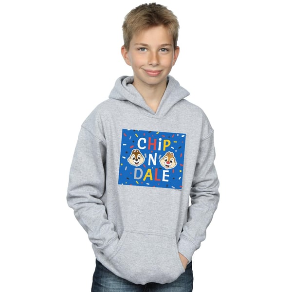 Disney Boys Chip N Dale Blue Frame Hoodie