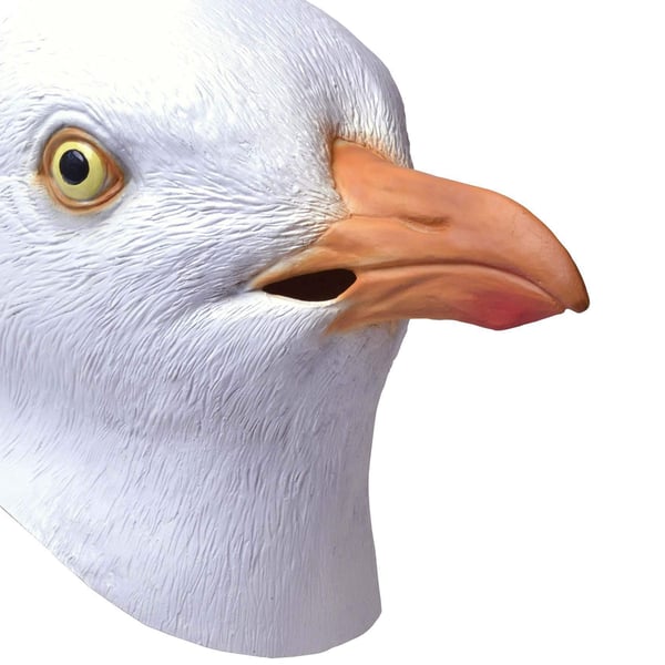 Bristol Novelty Unisex Adults Seagull Mask