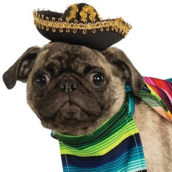 Bristol Novelty Mexican Dog Costume Set