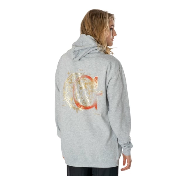 Harry Potter Unisex Adult Gryffindor Zodiac Hoodie