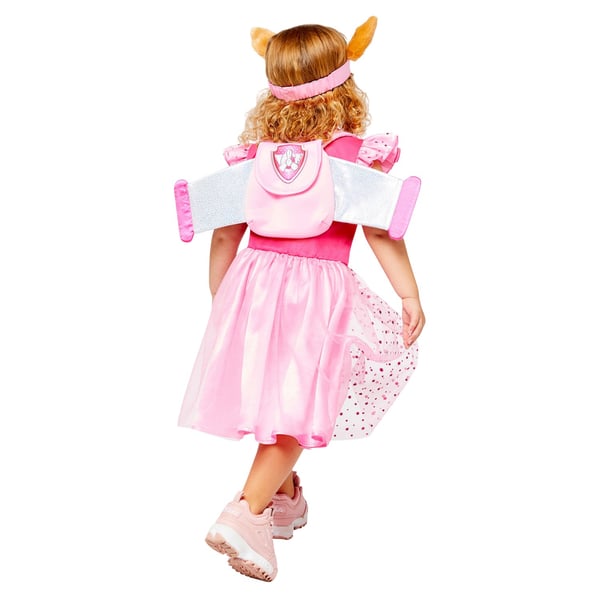 Paw Patrol Girls Skye Costume
