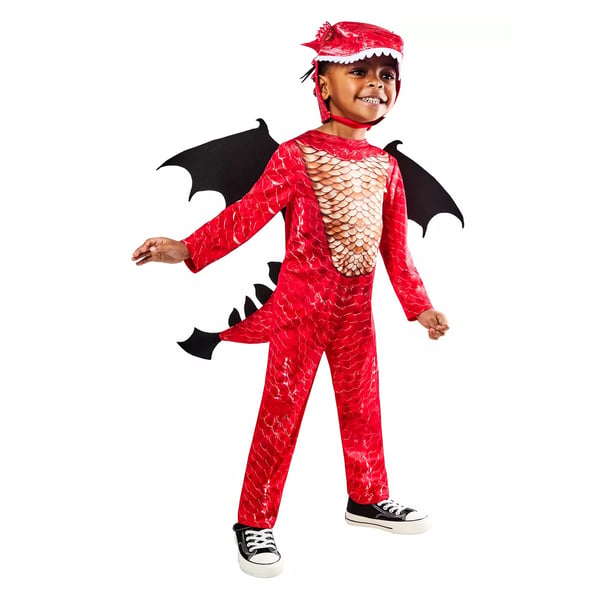 Bristol Novelty Drage kostume til børn/unge
