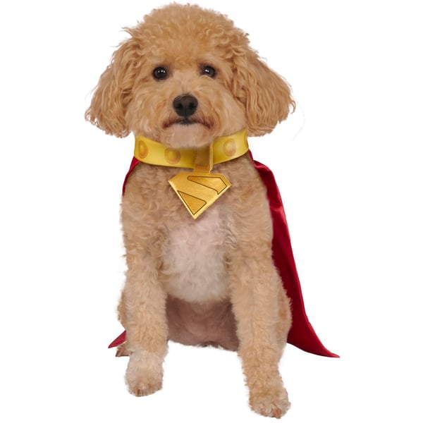 Stålmannen Krypto Hunddräkt