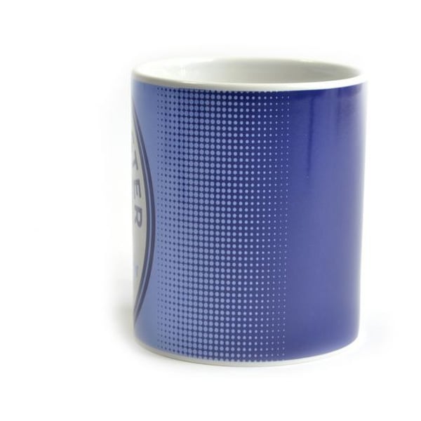 Manchester City FC Halftone 0.3kg Boxed Mug