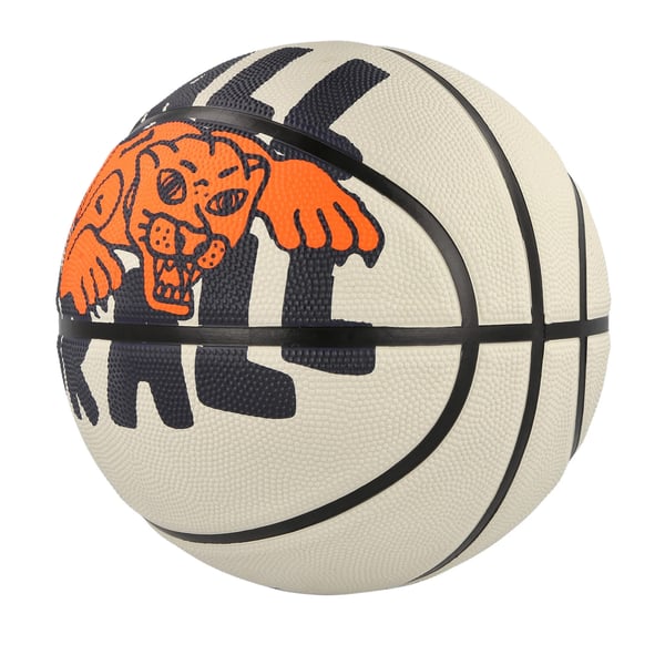 Nike Everyday Playground 8p Grafiskt Tryckt Basketboll