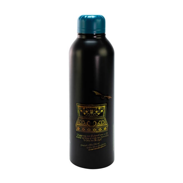 Harry Potter teräksinen 700 ml vesipullo