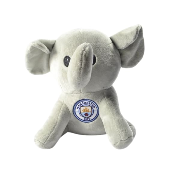 Manchester City FC Norsupehmolelu