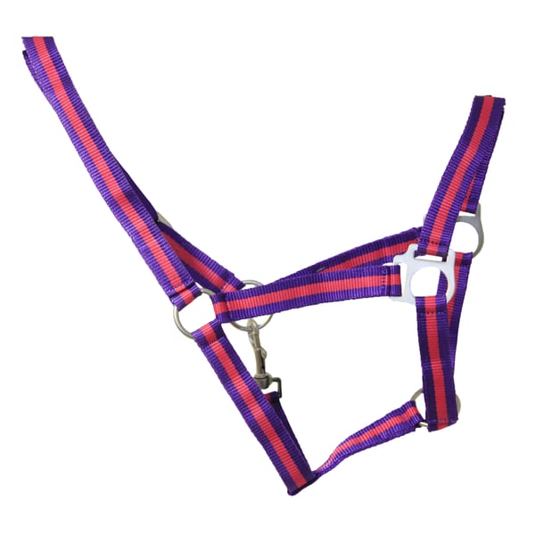 Hy Duo Head Collar