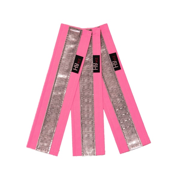 HyVIZ Bridle Set (3 Piece Set)