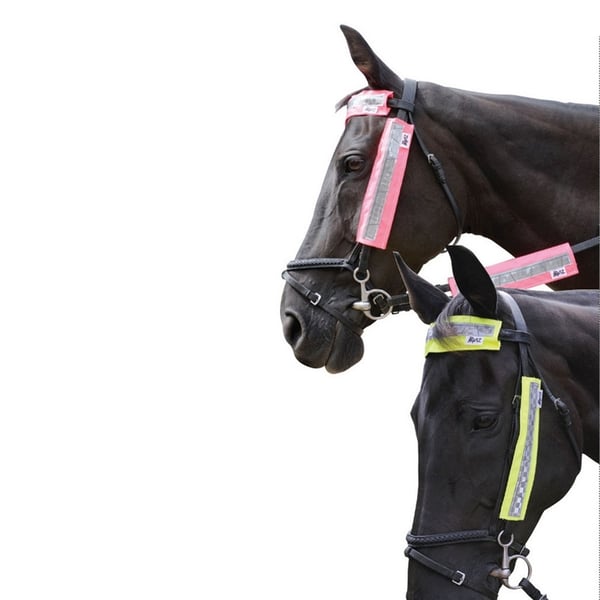 HyVIZ Bridle Set (3 Piece Set)
