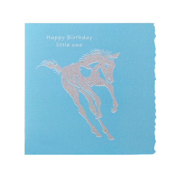 Deckled Edge Colour Block Pony -onnittelukortti