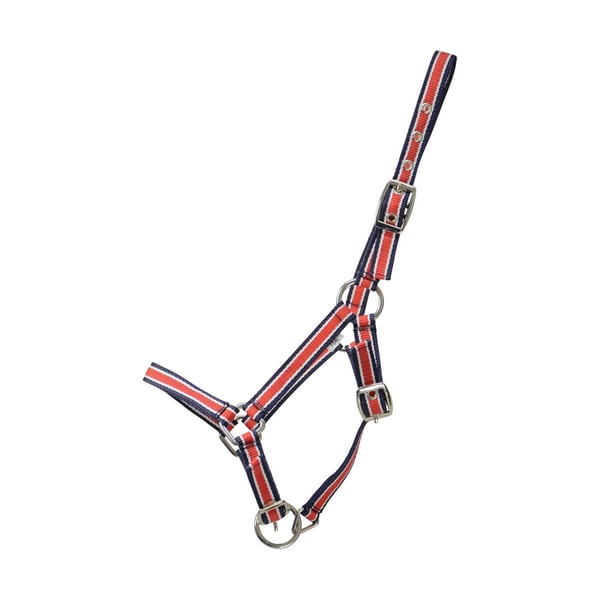 Hy Foal Plus grimma