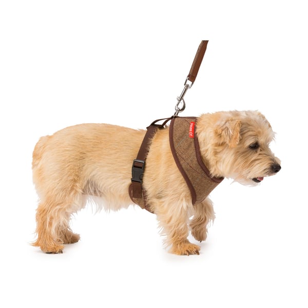 House Of Paws Memory Foam Tweed Dog Harness