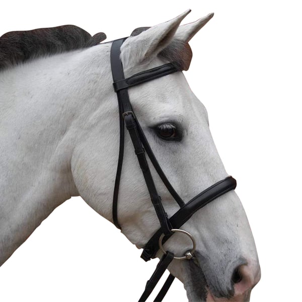 Hy Padded Cavesson Bridle with Rubber Grip Reins