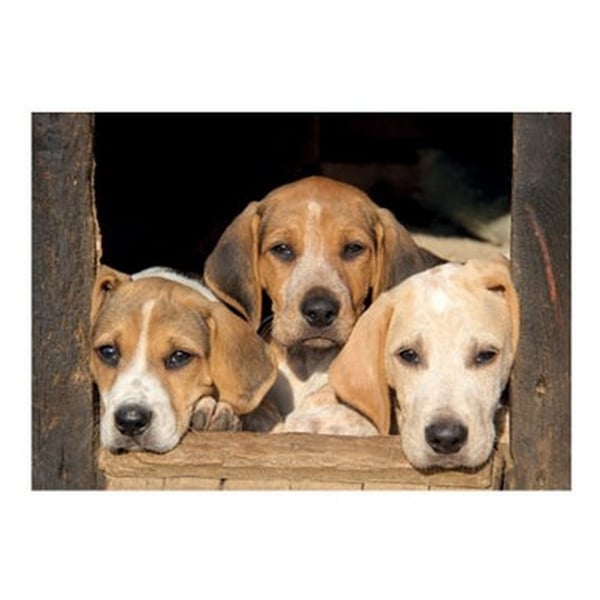 Kevin Milner Puppies Countryside Greetings Card