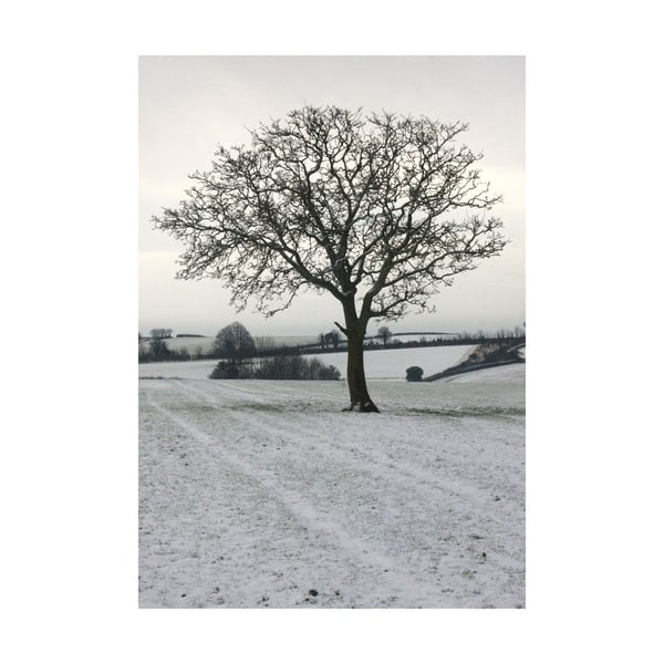 Kevin Milner Cope Farm Tree Christmas Card