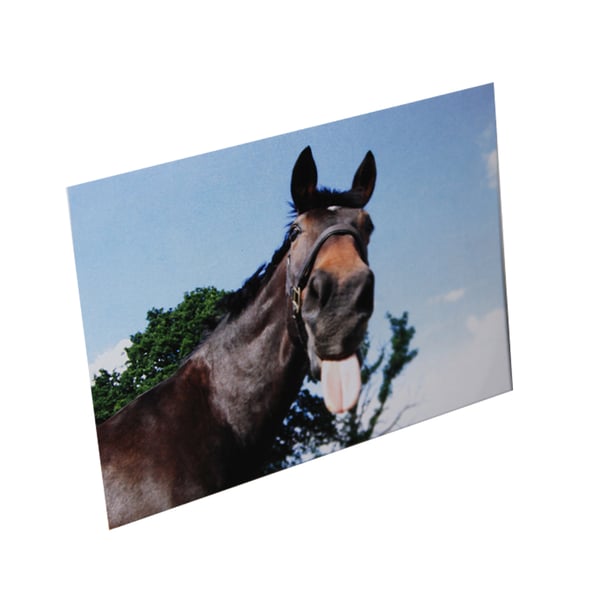 Kevin Milner Countryside Funny Horse Greetings Card