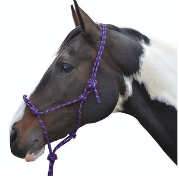 Hy Rope Halter