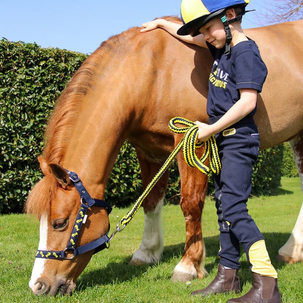 Little Knight Childrens/Kids Be Brave Jodhpurs