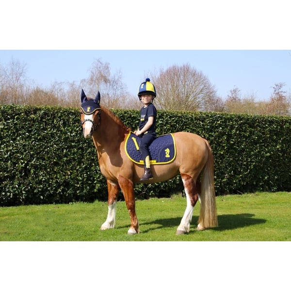 Little Knight Lancelot Horse Fly Veil