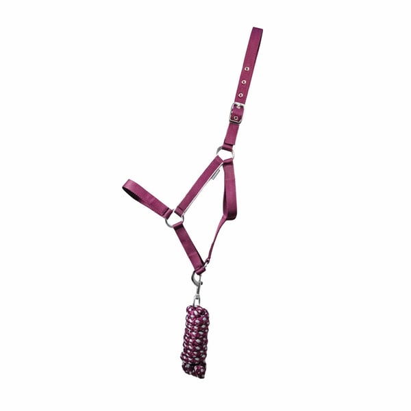 Hy Synergy Horse Headcollar
