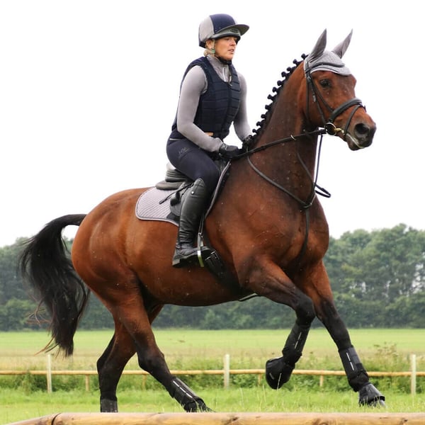 Hy Sport Active Ridebukser til kvinder/damer til ridning