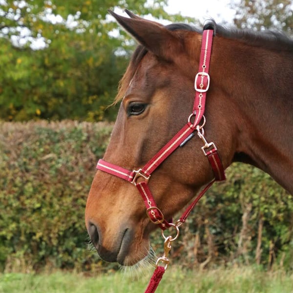 Hy Glitter Horse Headcollar and Leadrope