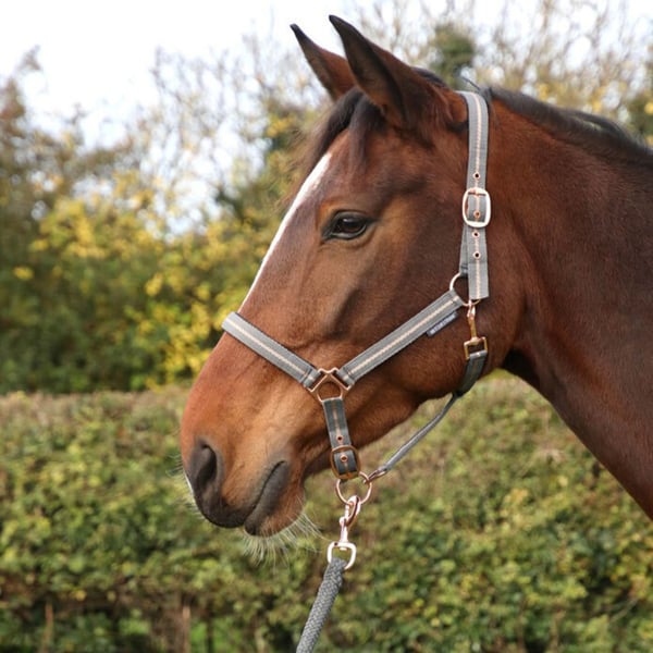 Hy Glitter Horse Headcollar and Leadrope