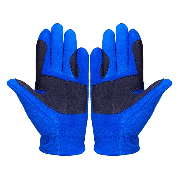 Little Knight Childrens/Kids Farm Collection Fleece Gloves