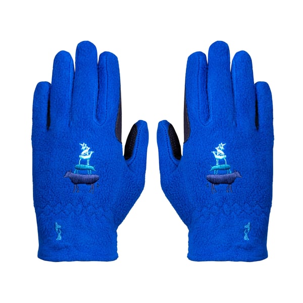 Little Knight Childrens/Kids Farm Collection Fleece Gloves