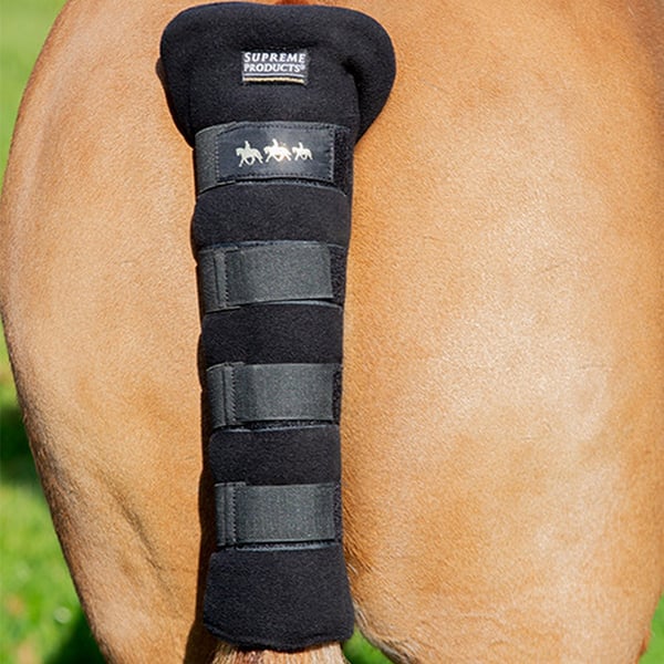 Supreme Products Royal Occasion Horse Tail Guard