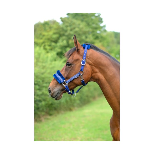 Hy Dazzle Horse Collar