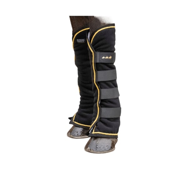 Supreme Products Royal Occasion rejsestøvler til heste (pakke med 4 stk.)