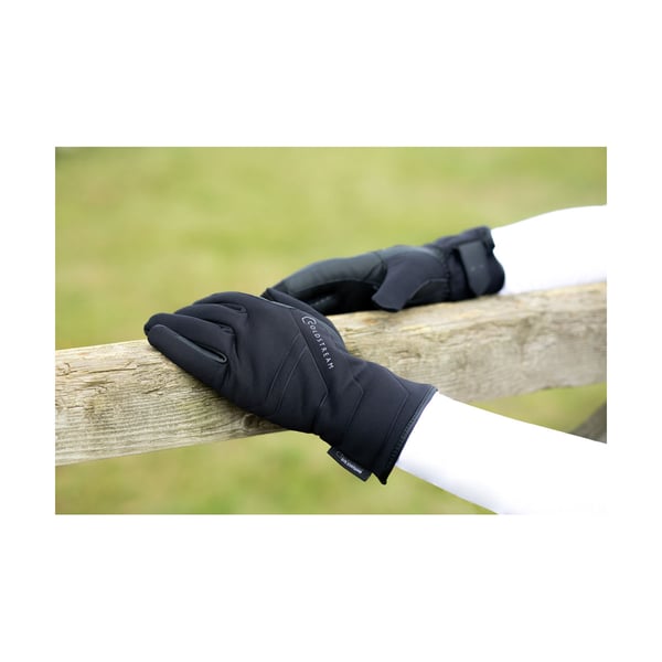 Coldstream Unisex Adult Duns StormGuard Winter Gloves