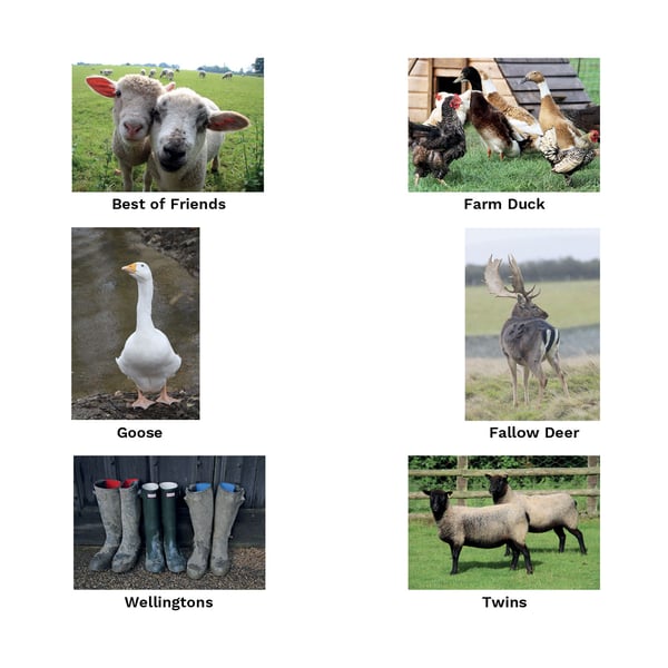 Kevin Milner Working Hunter Countryside Greetings Card