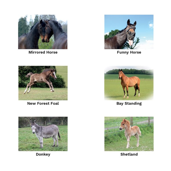 Kevin Milner Working Hunter Countryside Greetings Card