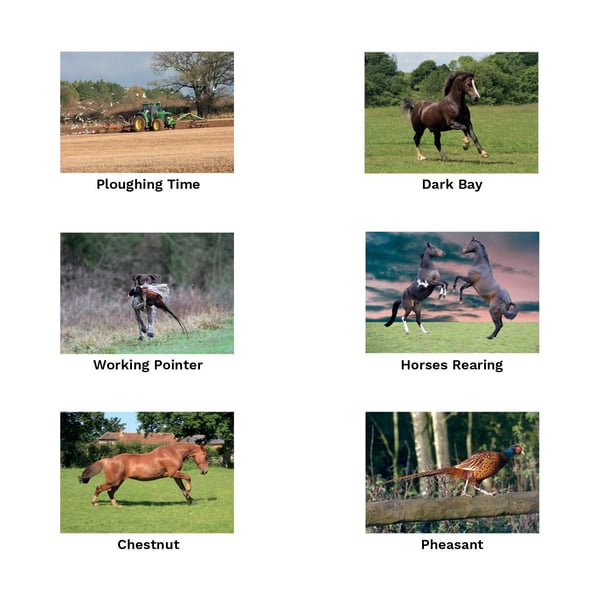 Kevin Milner Working Hunter Countryside Greetings Card