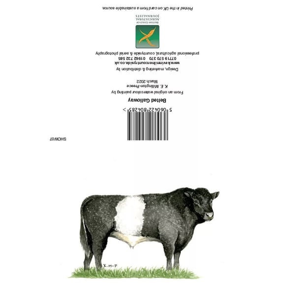 Kevin Milner Countryside Belted Galloway Greetings Card