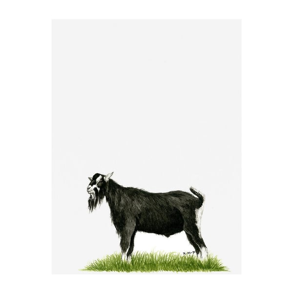 Kevin Milner British Alpine Goat Greetings Card