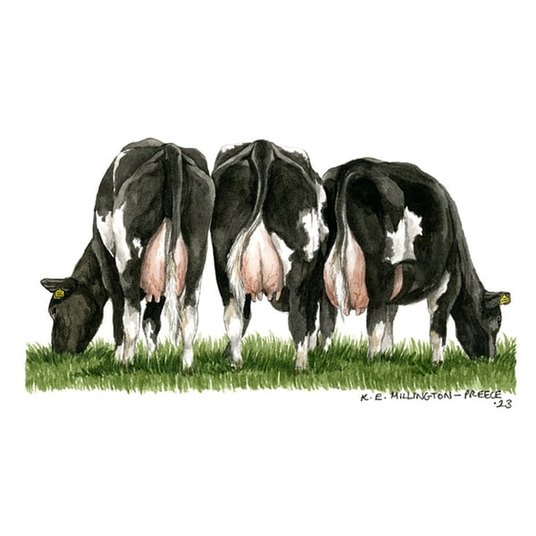 Kevin Milner Countryside Fresian Cow Greetings Card
