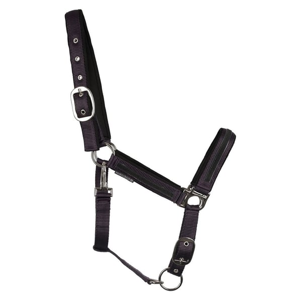 Hy Mystic Horse Headcollar