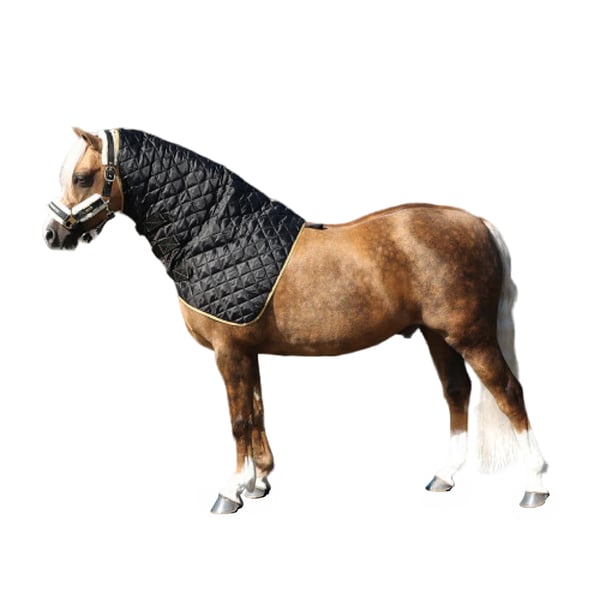 Supreme Products Show Quilted Horse Hood