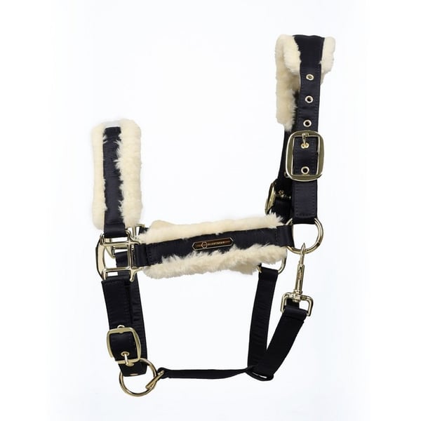Coldstream Langlee Luxury Horse Headcollar and Leadrope