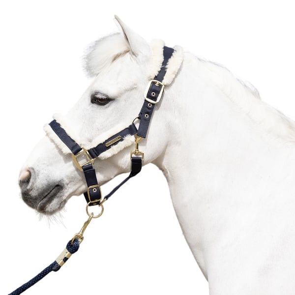 Coldstream Langlee Luxury Horse Headcollar and Leadrope