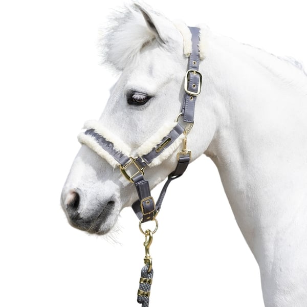 Coldstream Langlee Luxury Horse Headcollar and Leadrope