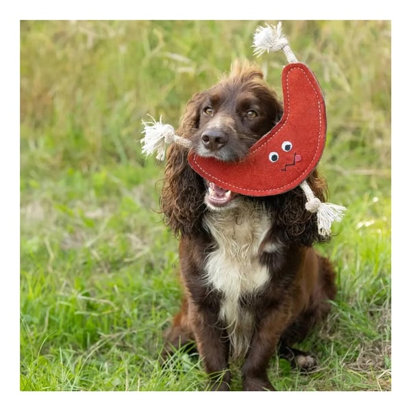 Benji & Flo Crazy Faces Bounce Back Boomerang Suede Rope Dog Toy