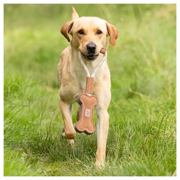 Benji & Flo Tug ´N´ Play Bone Suede Rope Dog Toy