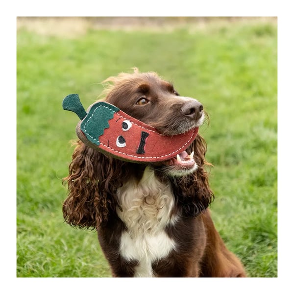 Benji & Flo Crazy Faces Jalapeno The Red Hot Chilli Suede Dog Toy